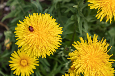 Similar image 21128872