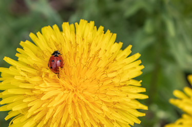 Similar image 21128873