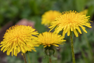 Similar image 21128874