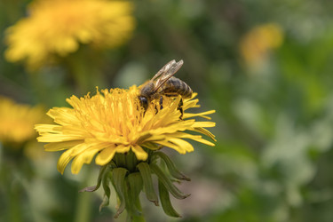 Similar image 21128875