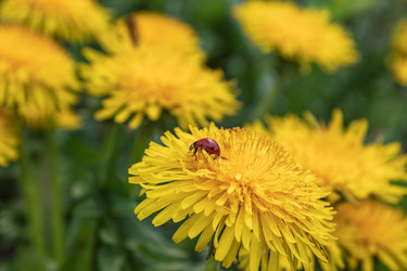 Similar image 21128876