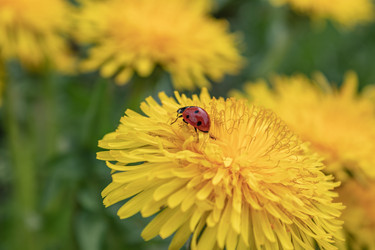 Similar image 21128877