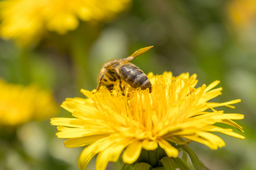 Similar image 21128878