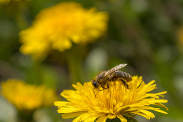 Similar image 21128879