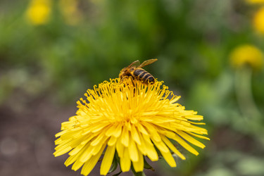 Similar image 21128880