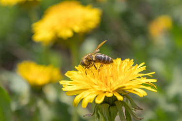 Similar image 21128881