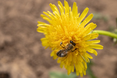 Similar image 21128882