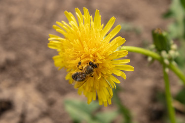 Similar image 21128883