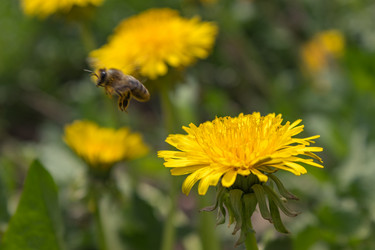 Similar image 21128885