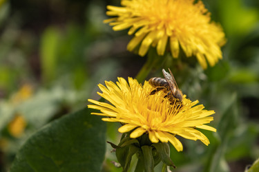 Similar image 21128886