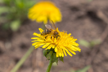 Similar image 21128887