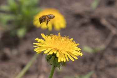 Similar image 21128888