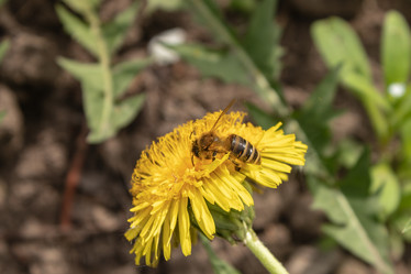 Similar image 21128889