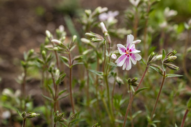 Similar image 21128892