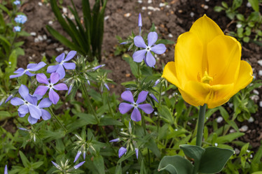 Similar image 21128893