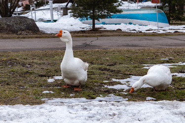 Similar image 21128894