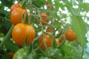 Similar image 21081040