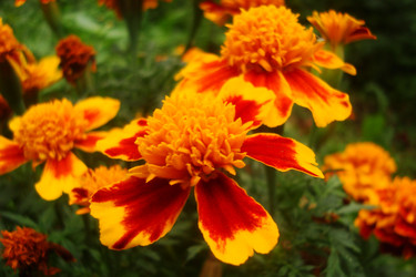 Similar image 21081041