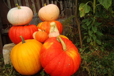 Similar image 21081400