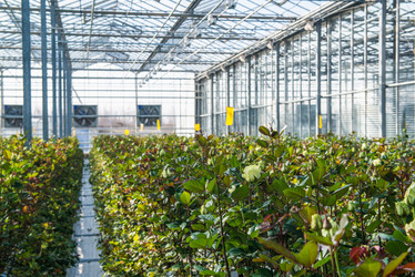 Similar image 21119707