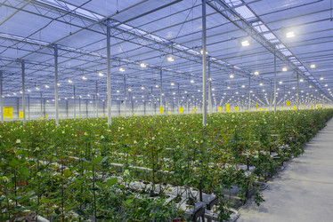 Similar image 21119708