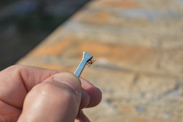 Similar image 21128921