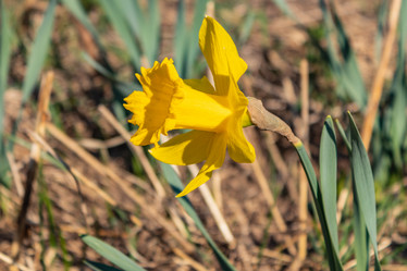 Similar image 21128922