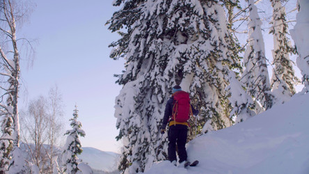 Similar image 21081647