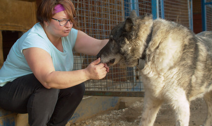 Similar image 21081652