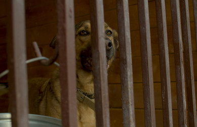 Similar image 21081653