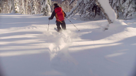 Similar image 21081659