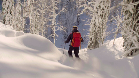 Similar image 21081661