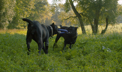 Similar image 21081663