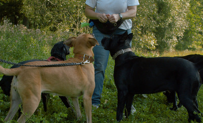 Similar image 21081665