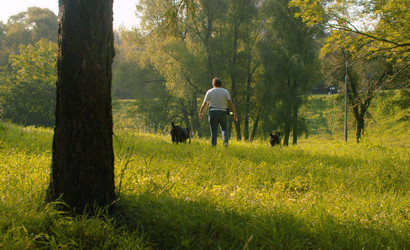 Similar image 21081667