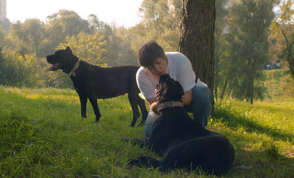 Similar image 21081669