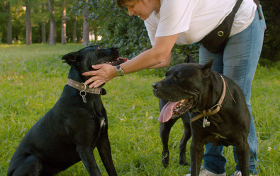 Similar image 21081673