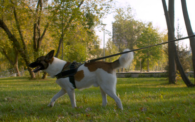 Similar image 21081680