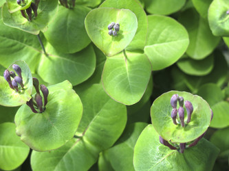 Similar image 21081045