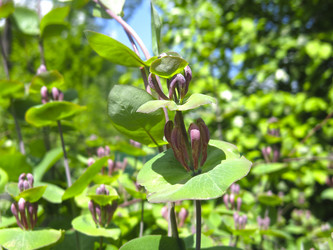 Similar image 21081046