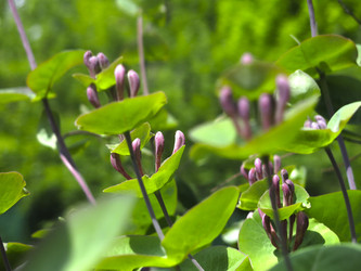 Similar image 21081048