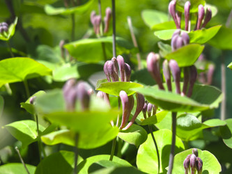 Similar image 21081049