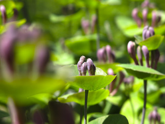 Similar image 21081050