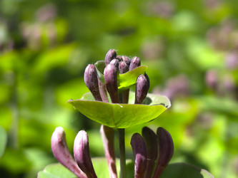 Similar image 21081051