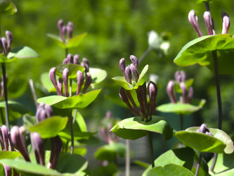 Similar image 21081052