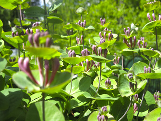 Similar image 21081053