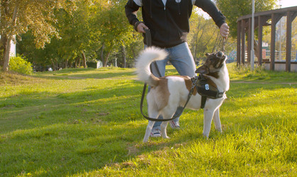 Similar image 21081686