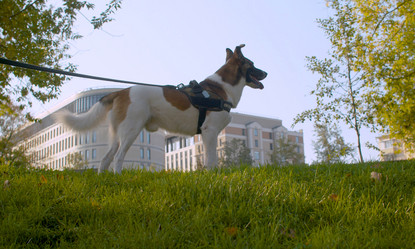 Similar image 21081687