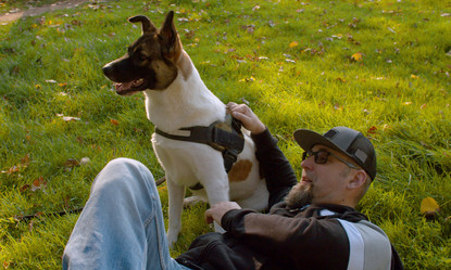 Similar image 21081688