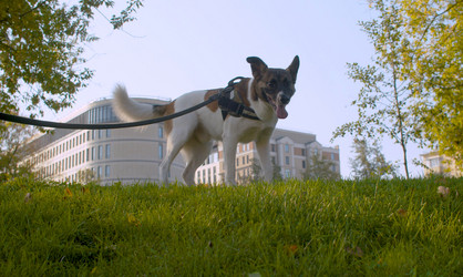 Similar image 21081689